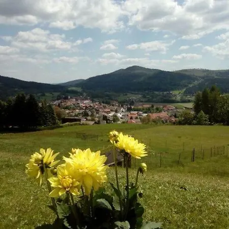 Sonnenfels I * Bodenmais